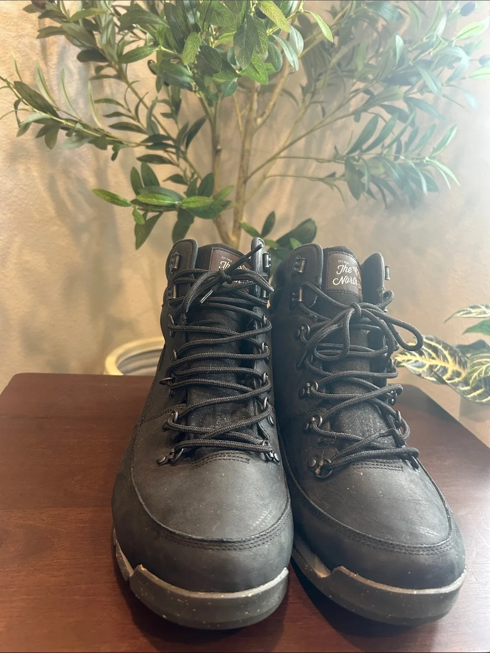The North Face Men's Black Lace-Up Hiking Boots